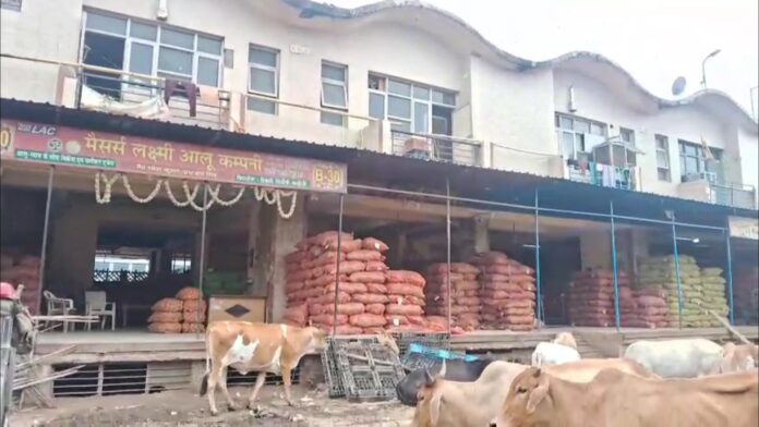 गाज़ीपुर मंडी